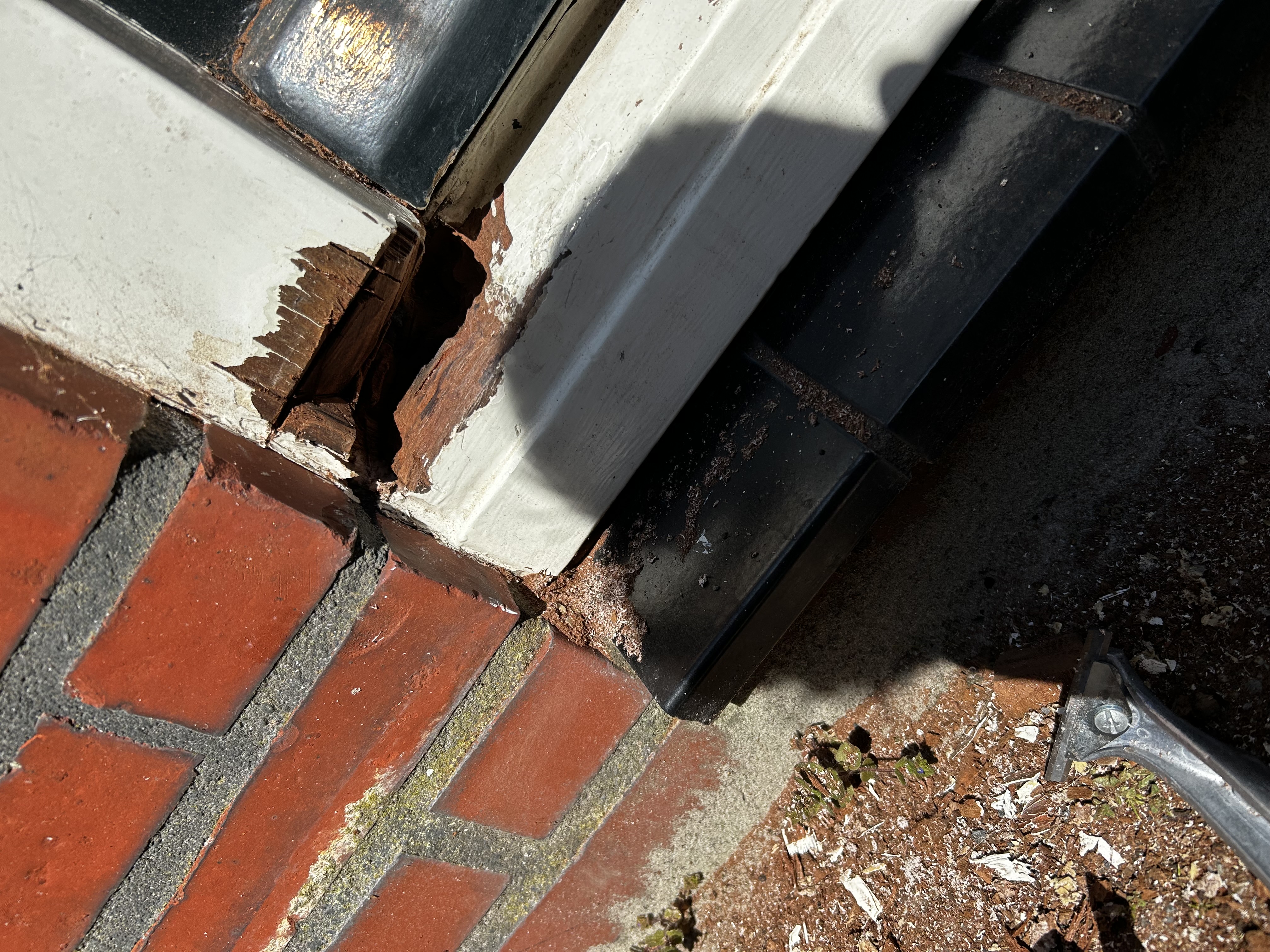 Houtrot voor reparatie